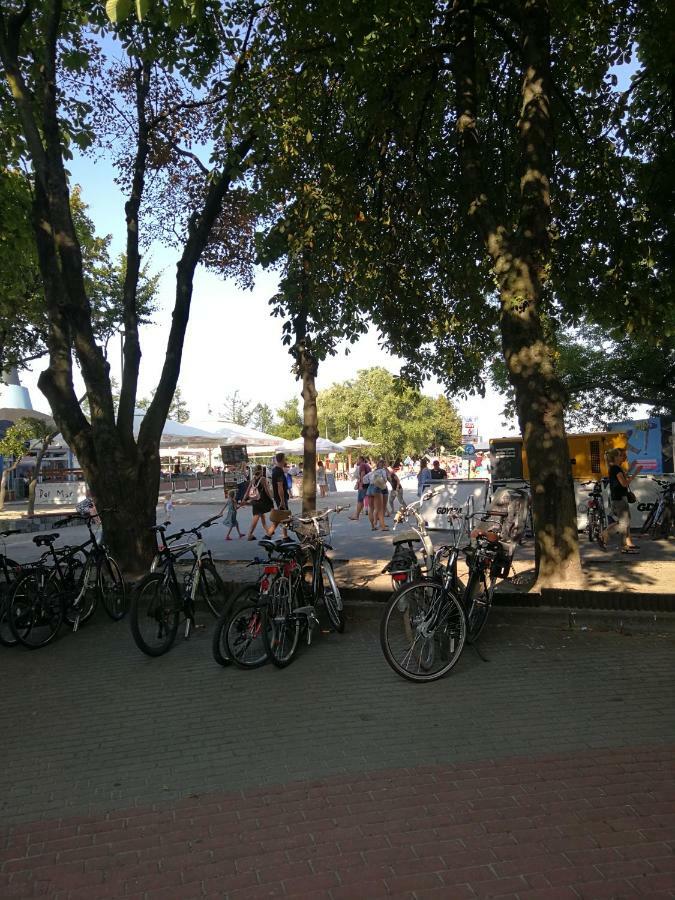 Pmc Gdynia